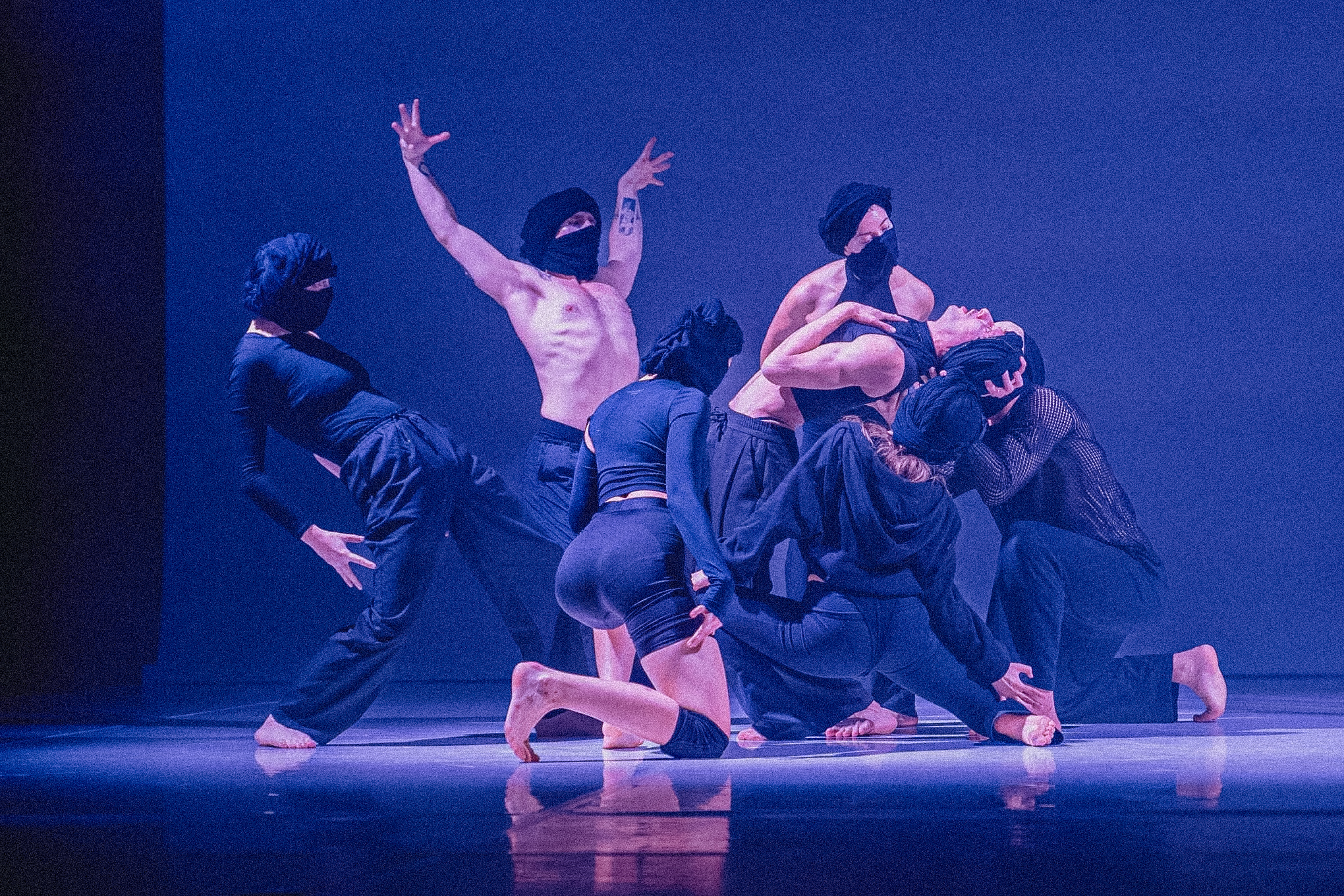 Movement & Dance - pokazy taneczne na eventach